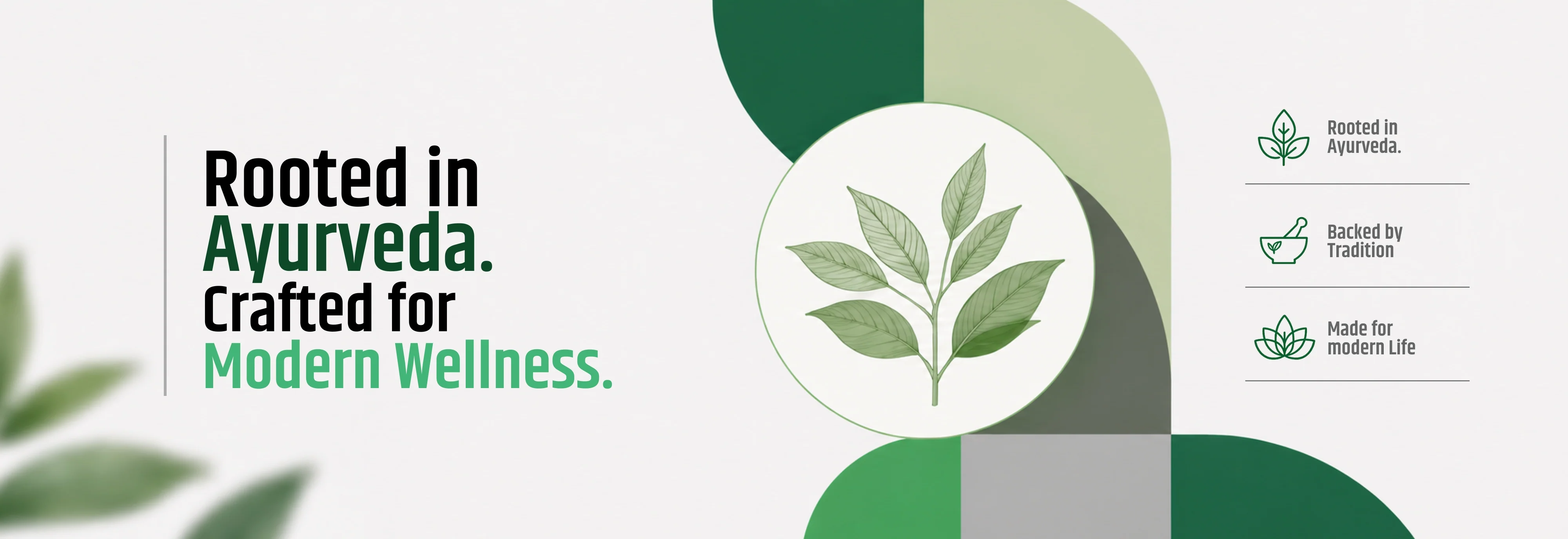 Timeless Wellness, Rooted in Nature