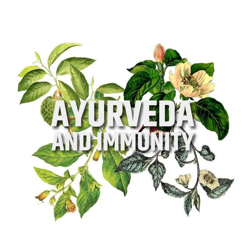 Vedi Immunity Booster Kit - Image 6