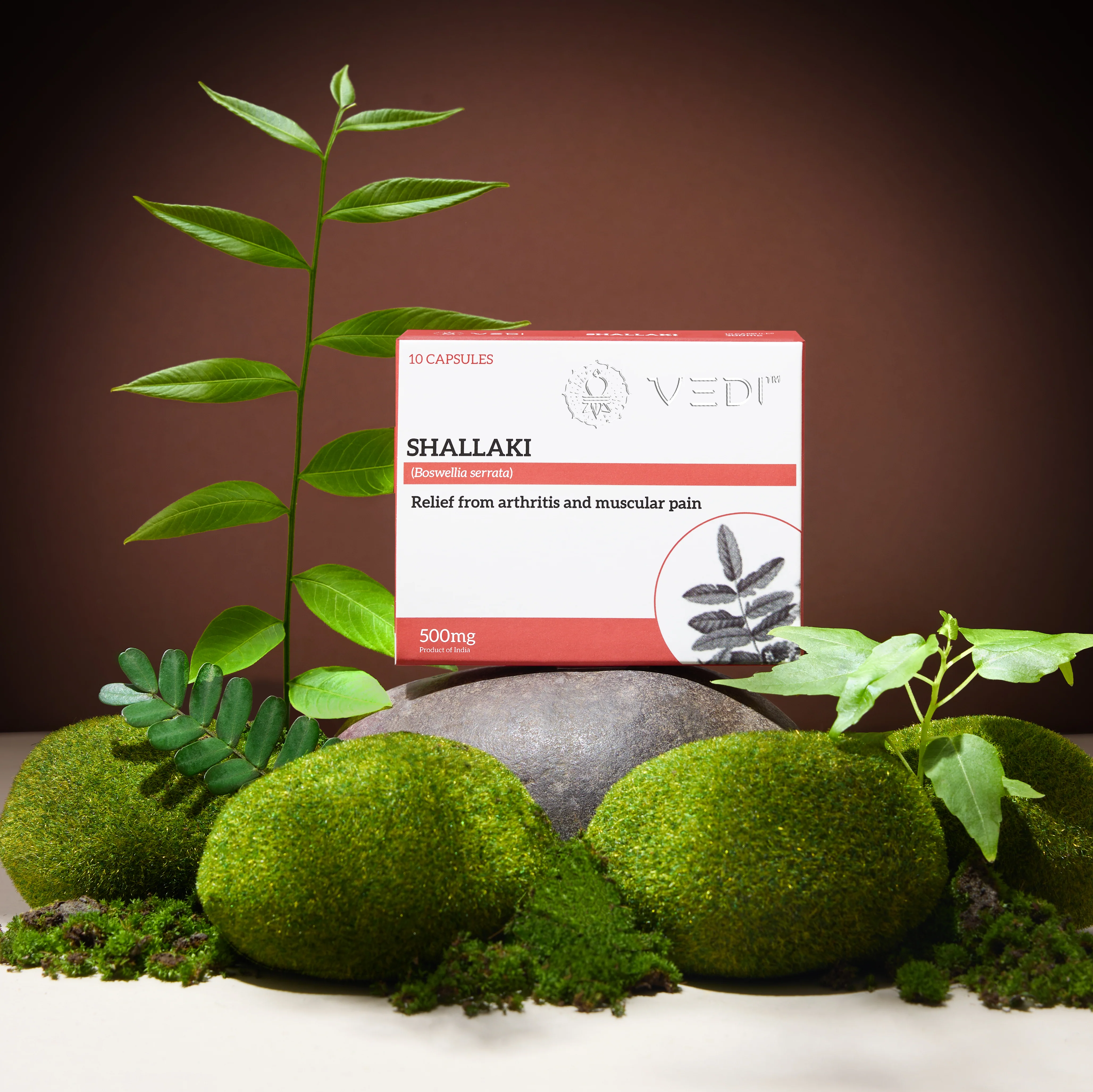 Shallaki For Arthritis & Muscular Pain Relief - Image 5